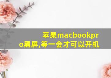 苹果macbookpro黑屏,等一会才可以开机