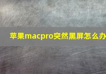 苹果macpro突然黑屏怎么办