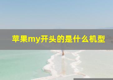 苹果my开头的是什么机型