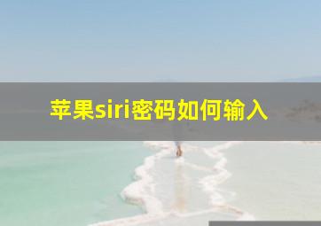 苹果siri密码如何输入