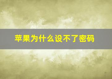 苹果为什么设不了密码