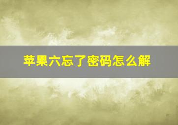 苹果六忘了密码怎么解