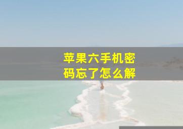 苹果六手机密码忘了怎么解