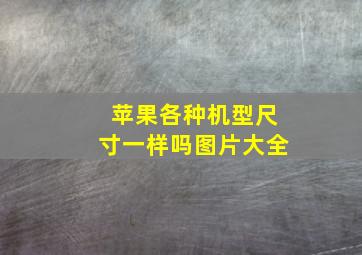 苹果各种机型尺寸一样吗图片大全