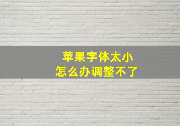 苹果字体太小怎么办调整不了