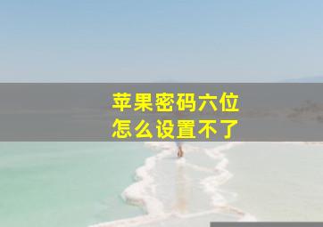 苹果密码六位怎么设置不了