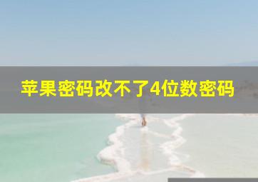 苹果密码改不了4位数密码