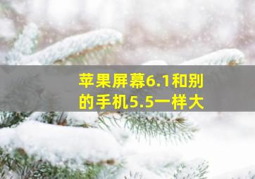 苹果屏幕6.1和别的手机5.5一样大