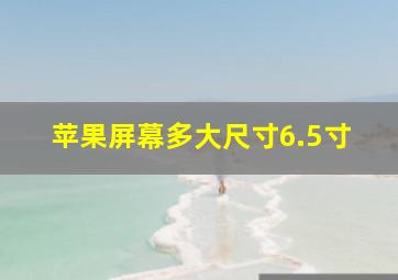 苹果屏幕多大尺寸6.5寸