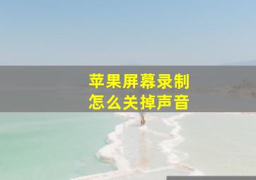 苹果屏幕录制怎么关掉声音