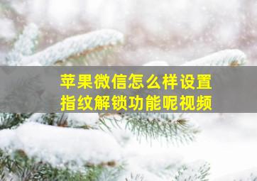 苹果微信怎么样设置指纹解锁功能呢视频