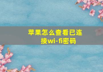 苹果怎么查看已连接wi-fi密码