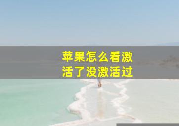 苹果怎么看激活了没激活过