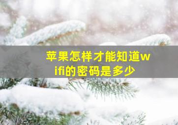 苹果怎样才能知道wifi的密码是多少