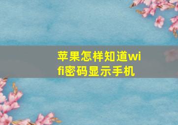 苹果怎样知道wifi密码显示手机