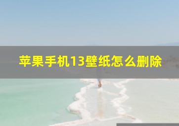 苹果手机13壁纸怎么删除