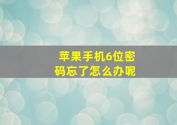 苹果手机6位密码忘了怎么办呢