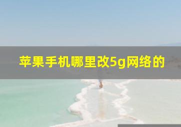 苹果手机哪里改5g网络的