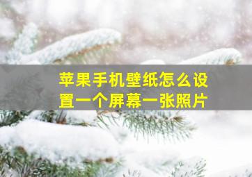 苹果手机壁纸怎么设置一个屏幕一张照片