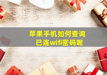 苹果手机如何查询已连wifi密码呢