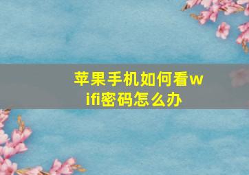 苹果手机如何看wifi密码怎么办