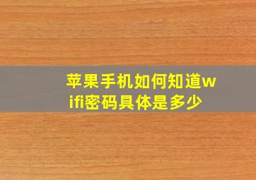 苹果手机如何知道wifi密码具体是多少