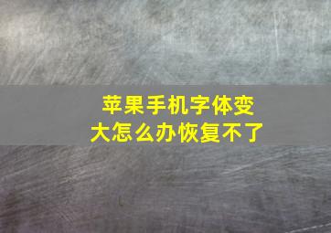 苹果手机字体变大怎么办恢复不了