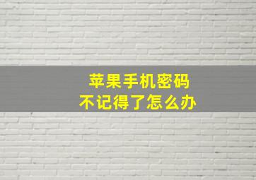 苹果手机密码不记得了怎么办