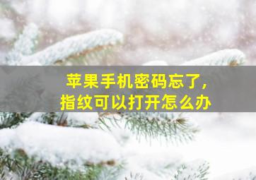 苹果手机密码忘了,指纹可以打开怎么办