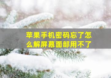 苹果手机密码忘了怎么解屏幕面部用不了