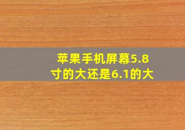 苹果手机屏幕5.8寸的大还是6.1的大