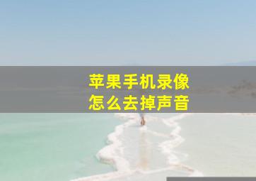 苹果手机录像怎么去掉声音