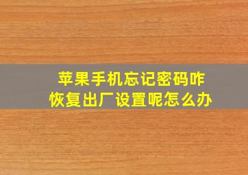 苹果手机忘记密码咋恢复出厂设置呢怎么办