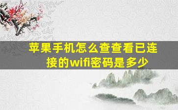 苹果手机怎么查查看已连接的wifi密码是多少