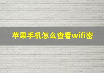 苹果手机怎么查看wifi密