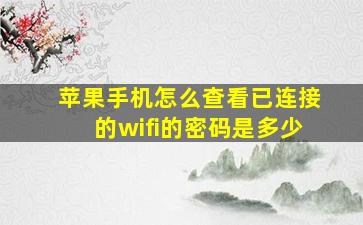 苹果手机怎么查看已连接的wifi的密码是多少