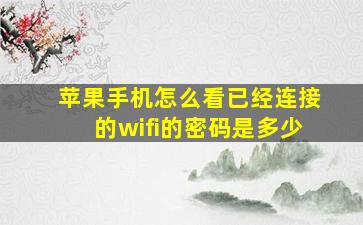 苹果手机怎么看已经连接的wifi的密码是多少