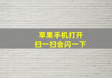 苹果手机打开扫一扫会闪一下