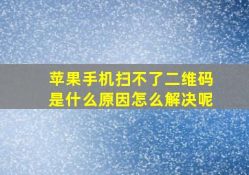 苹果手机扫不了二维码是什么原因怎么解决呢