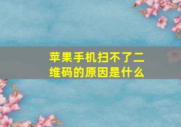 苹果手机扫不了二维码的原因是什么