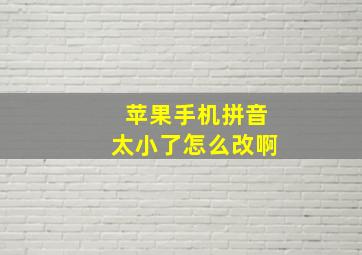 苹果手机拼音太小了怎么改啊