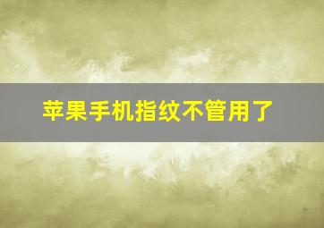 苹果手机指纹不管用了