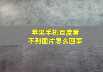 苹果手机百度看不到图片怎么回事