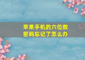 苹果手机的六位数密码忘记了怎么办