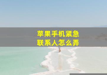 苹果手机紧急联系人怎么弄