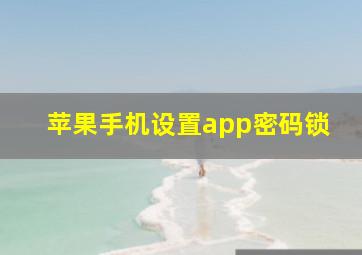 苹果手机设置app密码锁