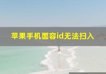 苹果手机面容id无法扫入