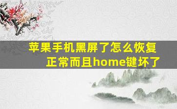 苹果手机黑屏了怎么恢复正常而且home键坏了