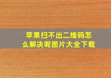 苹果扫不出二维码怎么解决呢图片大全下载