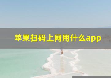 苹果扫码上网用什么app